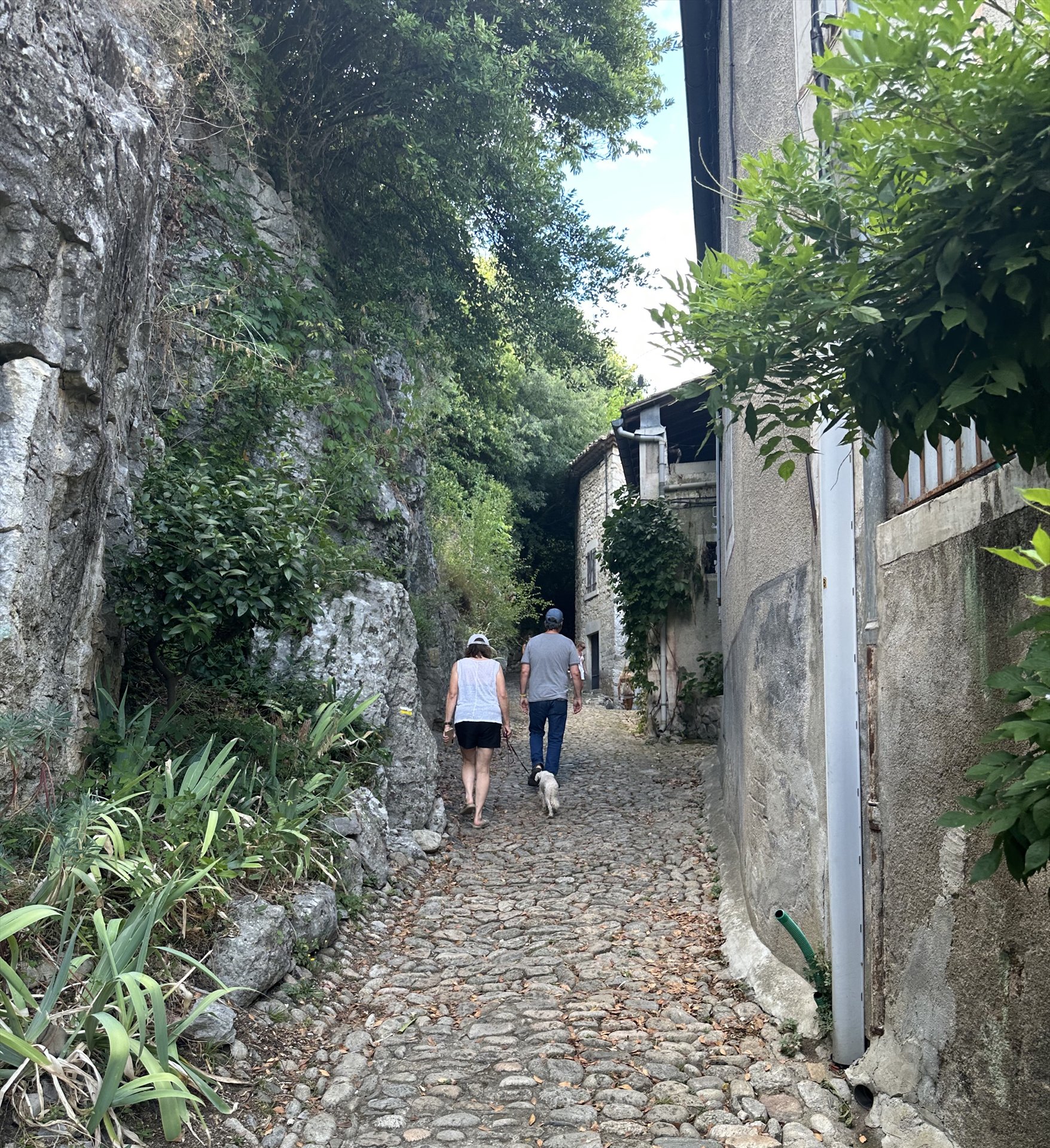 Promeneurs dans une ruelle pavée et végétalisée de Labeaume