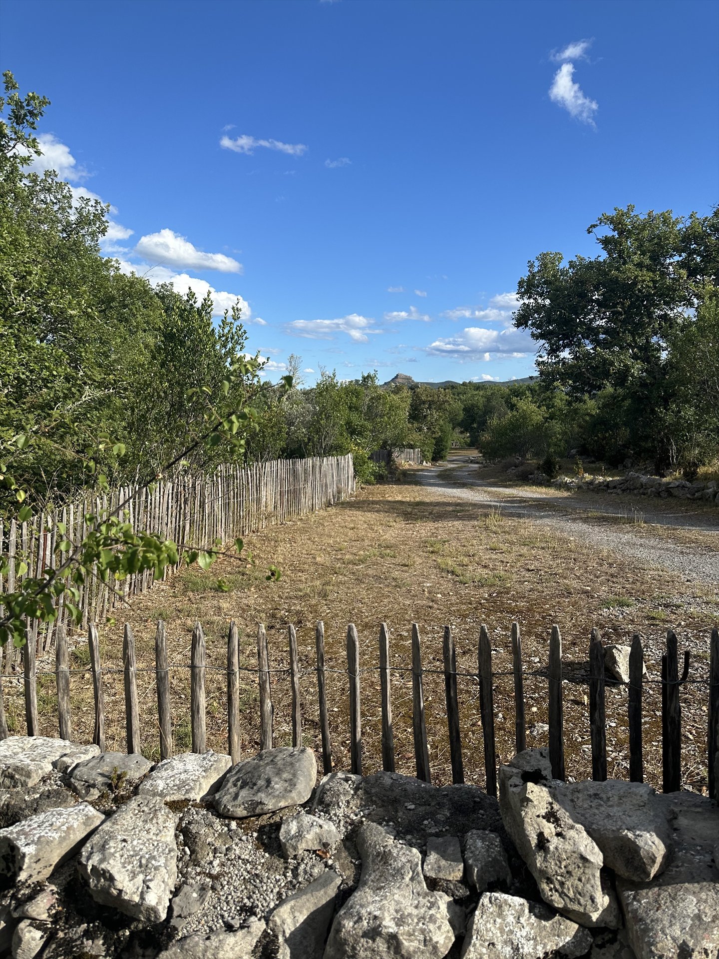Chemin bordé de pierres sèches et de clôtures au départ de Saint-Alban-Auriolles